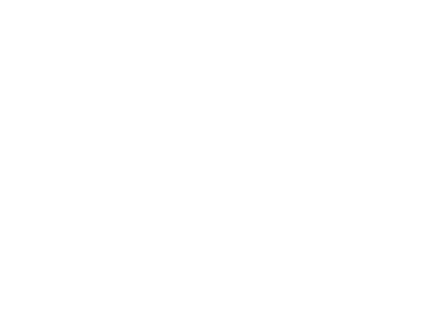 FLIP